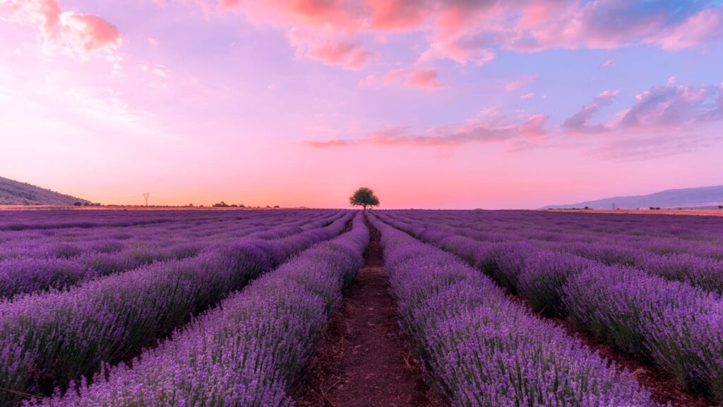 出会い 30代女アプリ